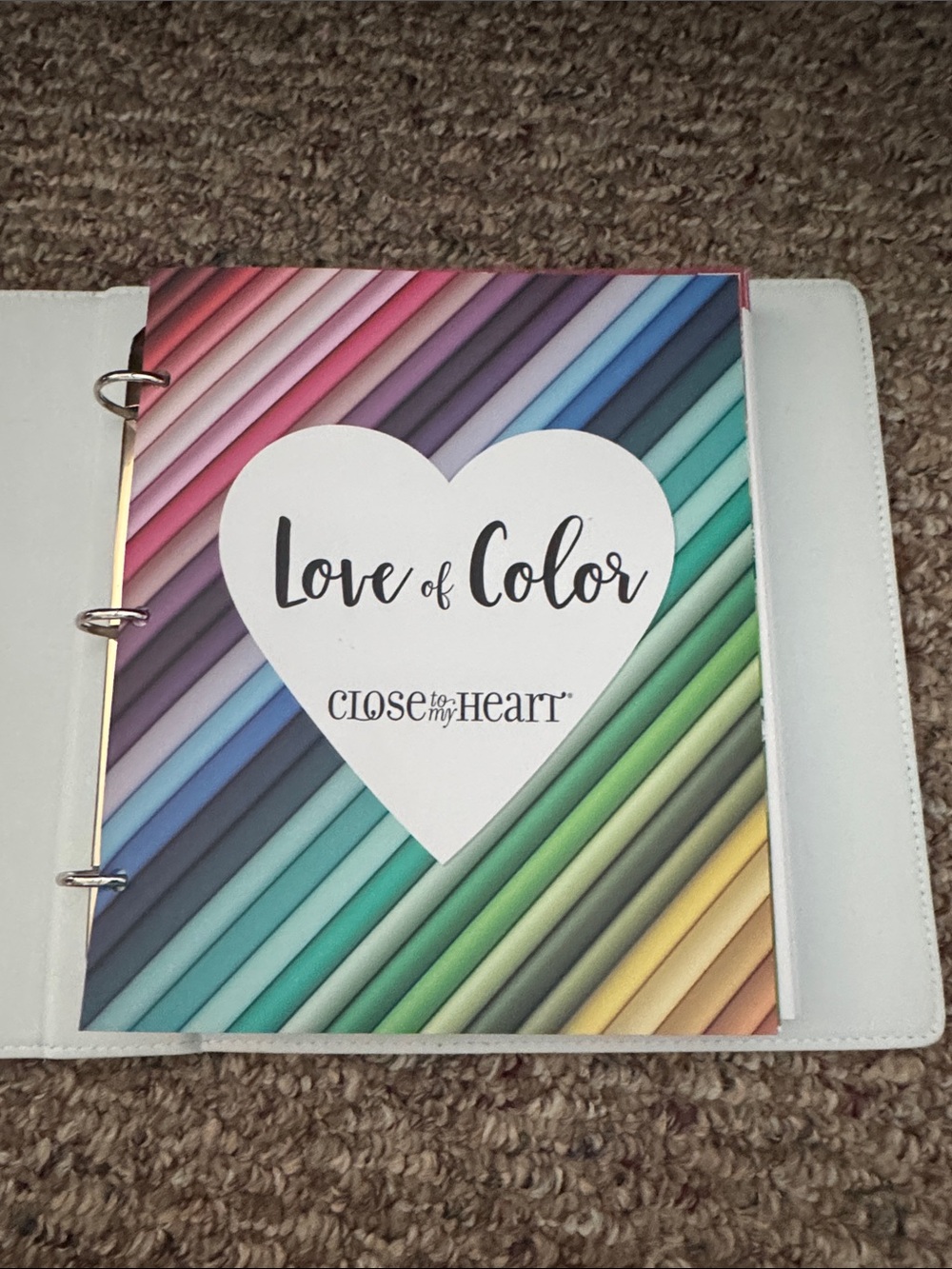 Close to My Heart 'Love of Color' Rainbow Planner Insert - Multicolor